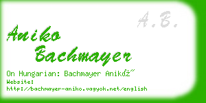 aniko bachmayer business card